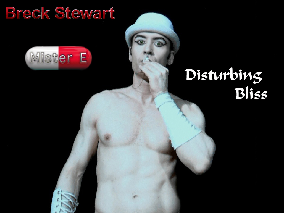 Breck Stewart - Mister E - Disturbing Bliss