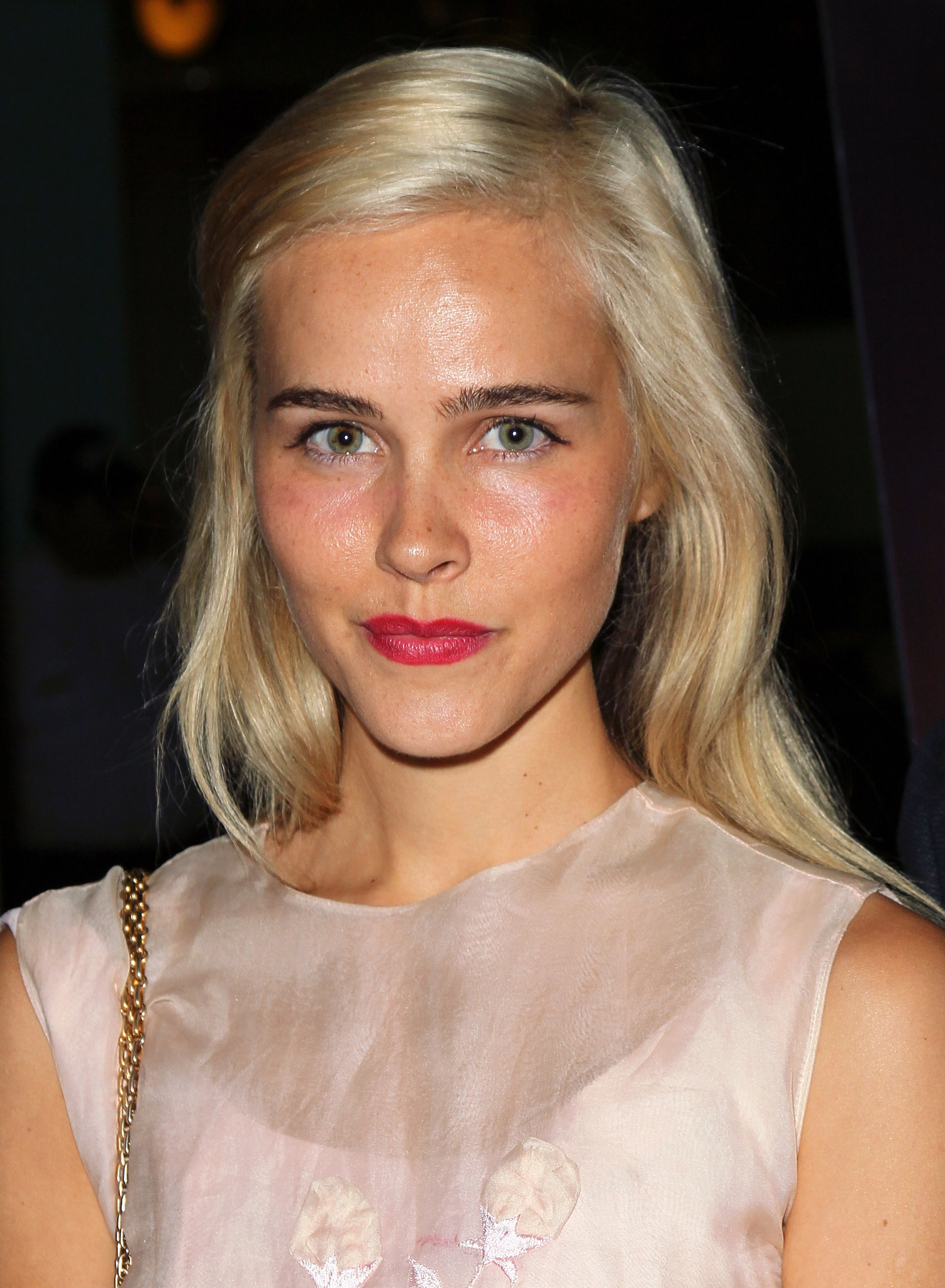 Isabel Lucas at event of Nobody Walks (2012)
