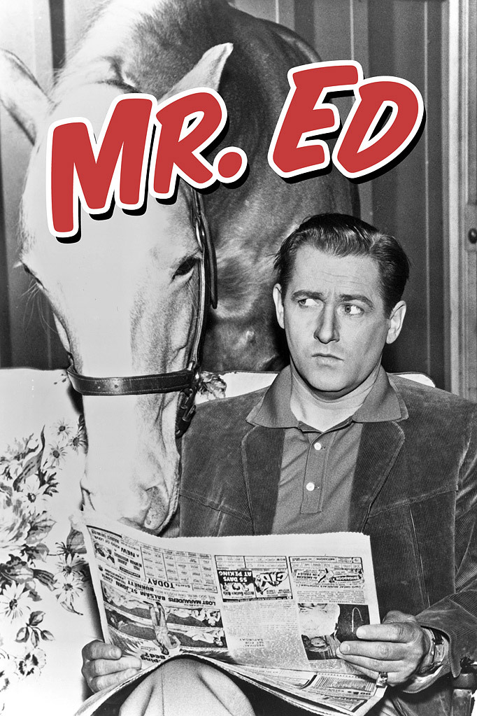 Alan Young and Mister Ed in Mister Ed (1958)