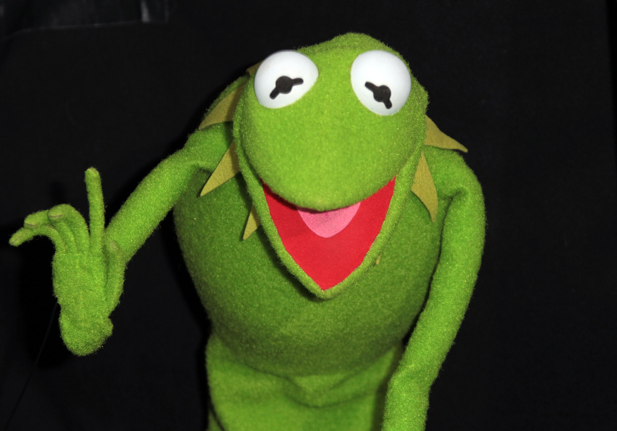 Kermit the Frog at event of Mapetai (2011)