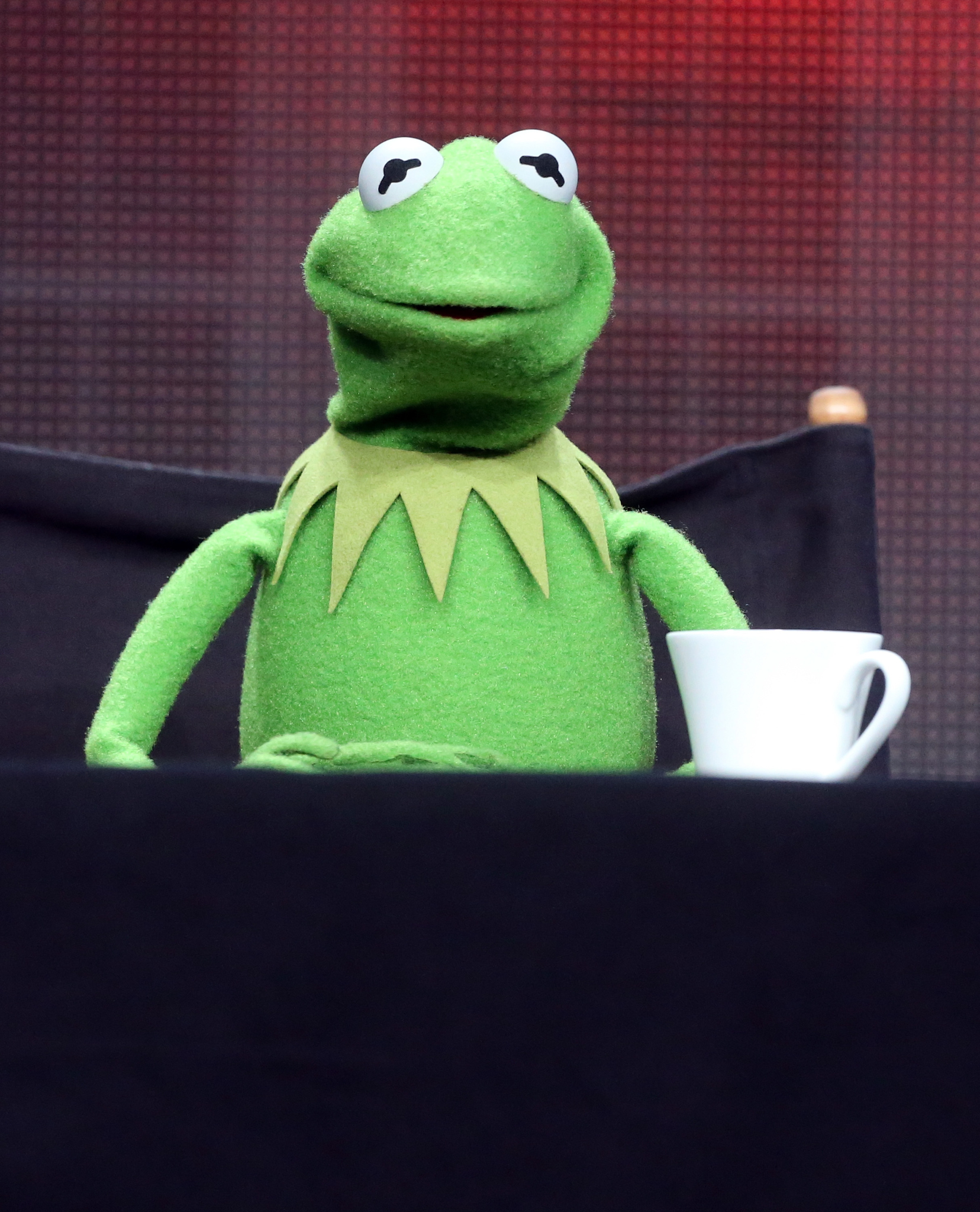 Kermit the Frog at event of The Muppets (2015)