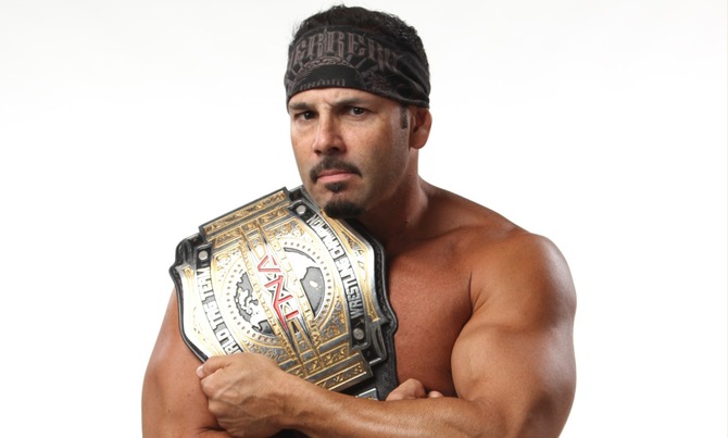 TNA Tag Team Champion