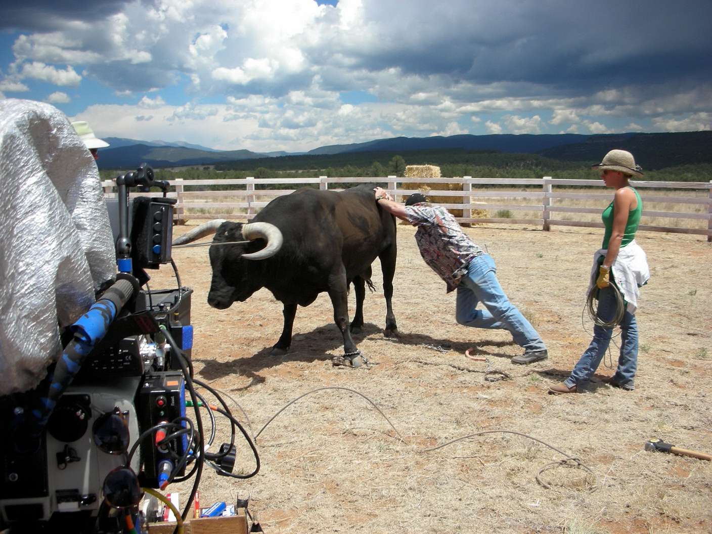 Wild Hogs Jack trying to move a bull into the shot.