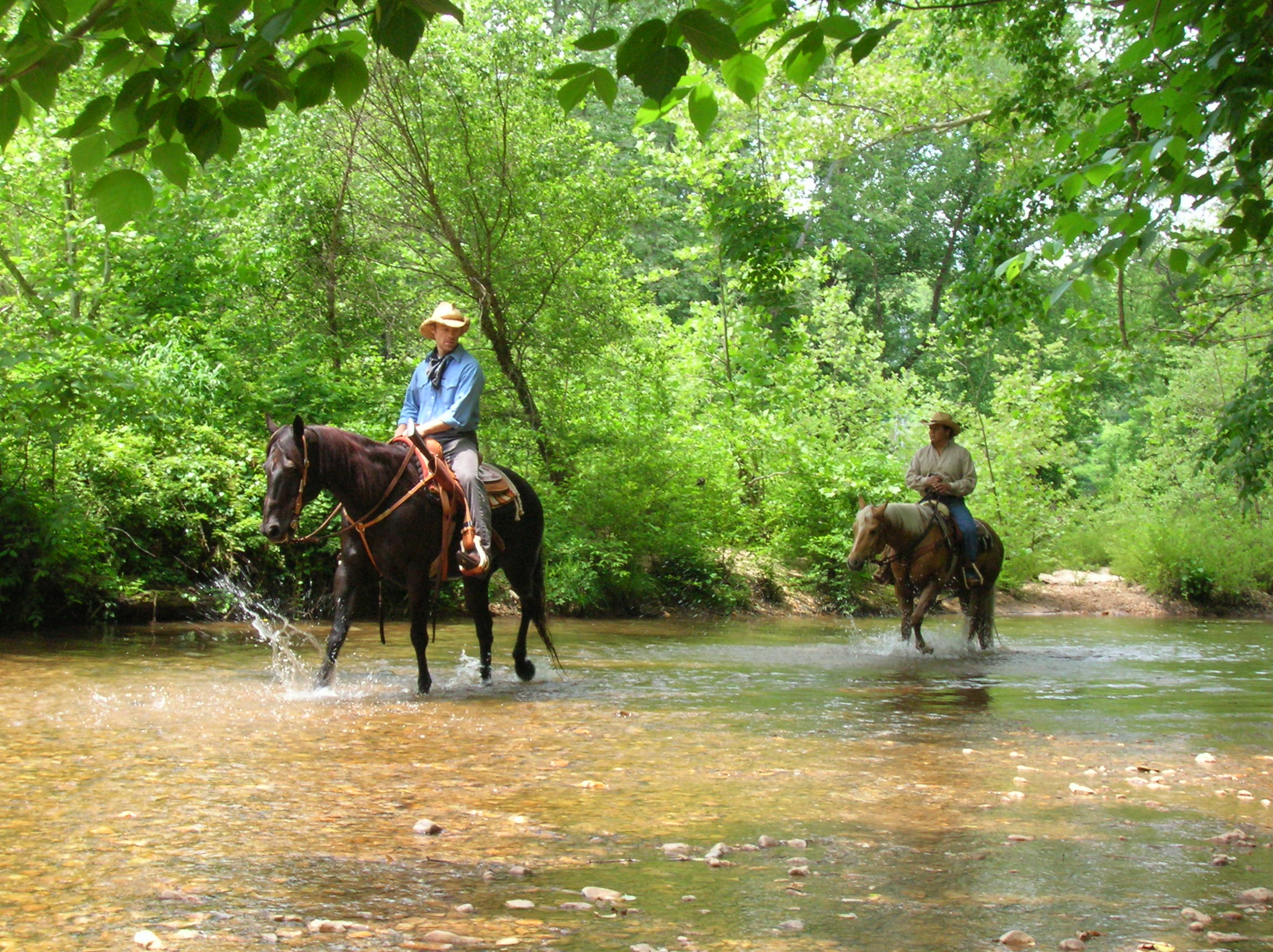 Production Still from Lost Stallions