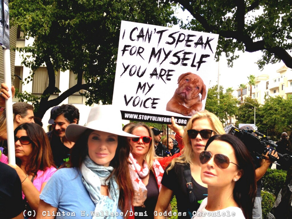 Lisa Vanderpump, Christy Oldham and Kyle Richards on the steps of the Chinese Embassy, protesting the Yulin Dog Trade.