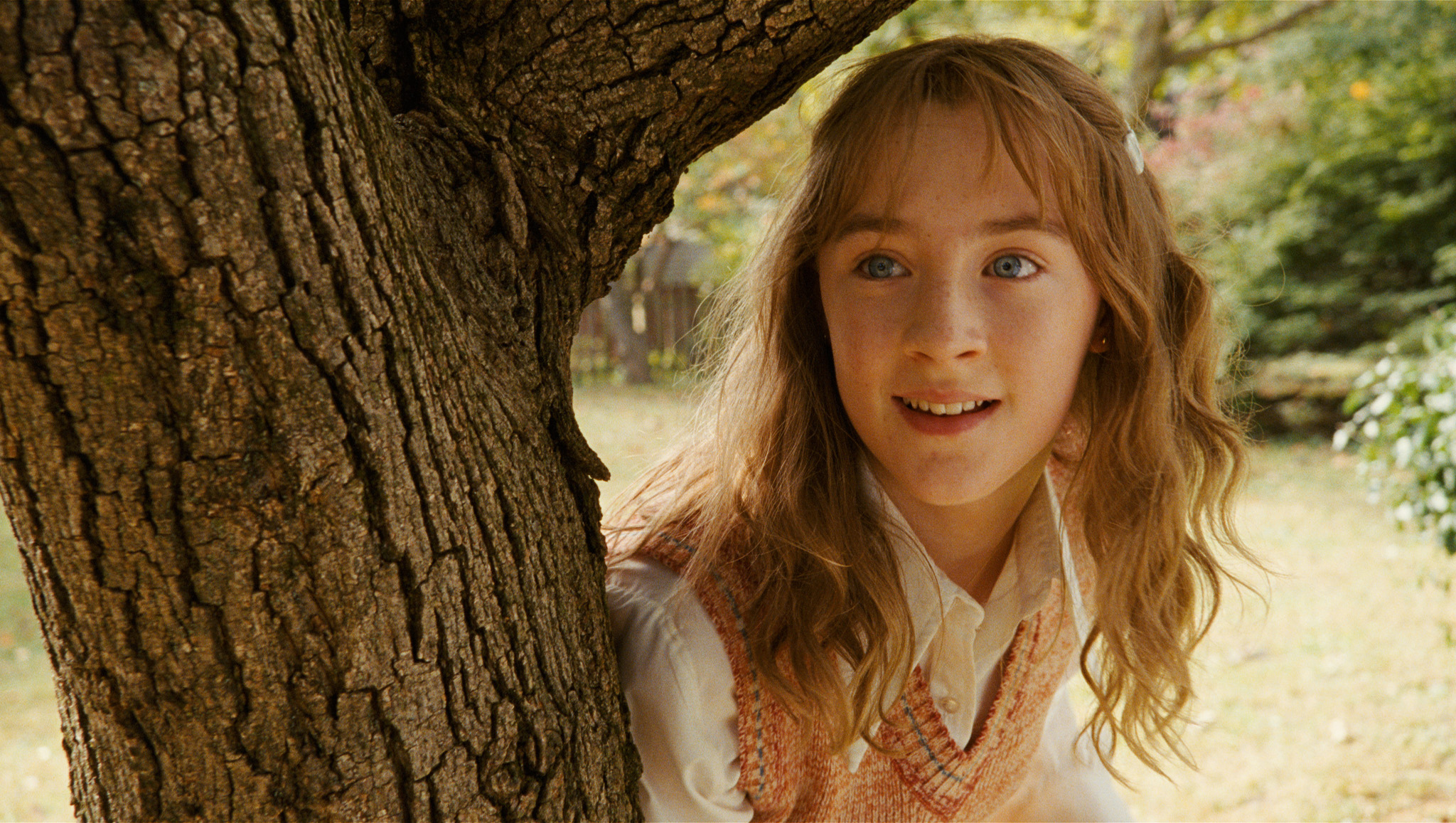 Still of Saoirse Ronan in The Lovely Bones (2009)