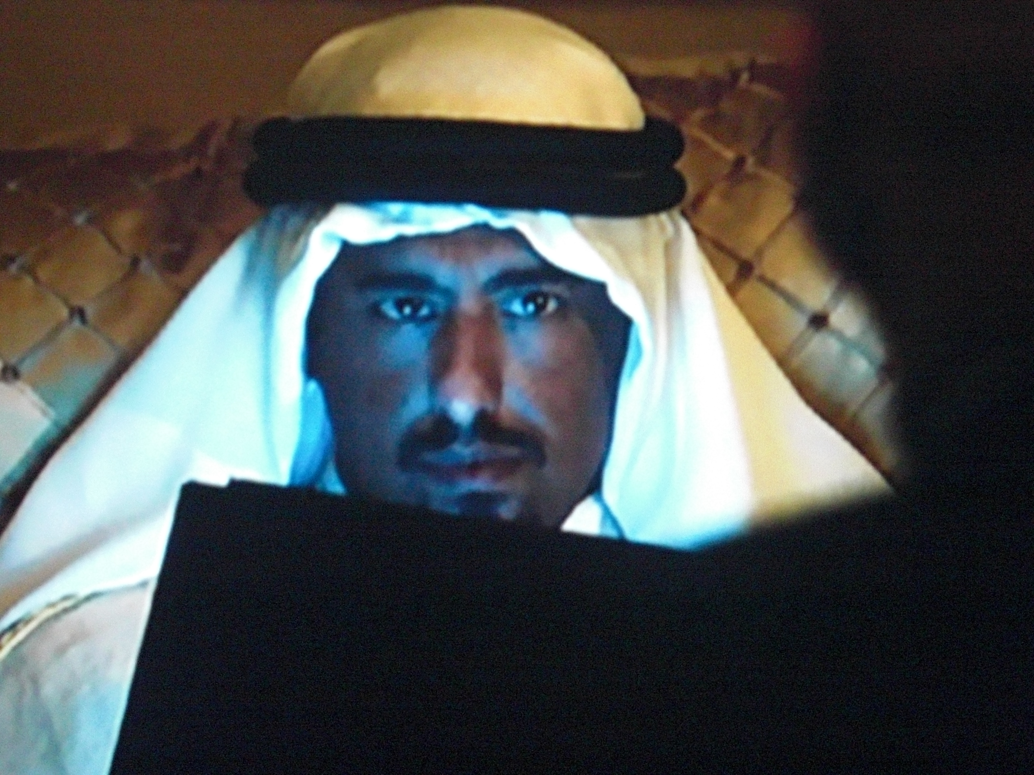 Feature Film: 2012. Parm Soor as The Saudi Prince