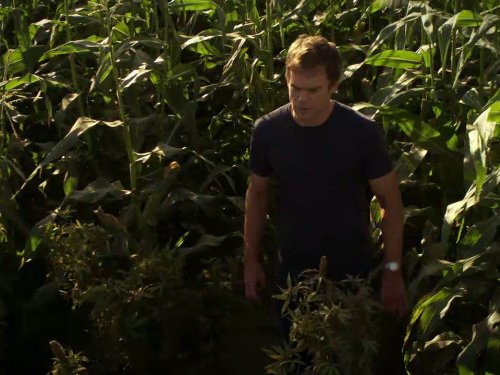 Still of Michael C. Hall in Deksteris (2006)