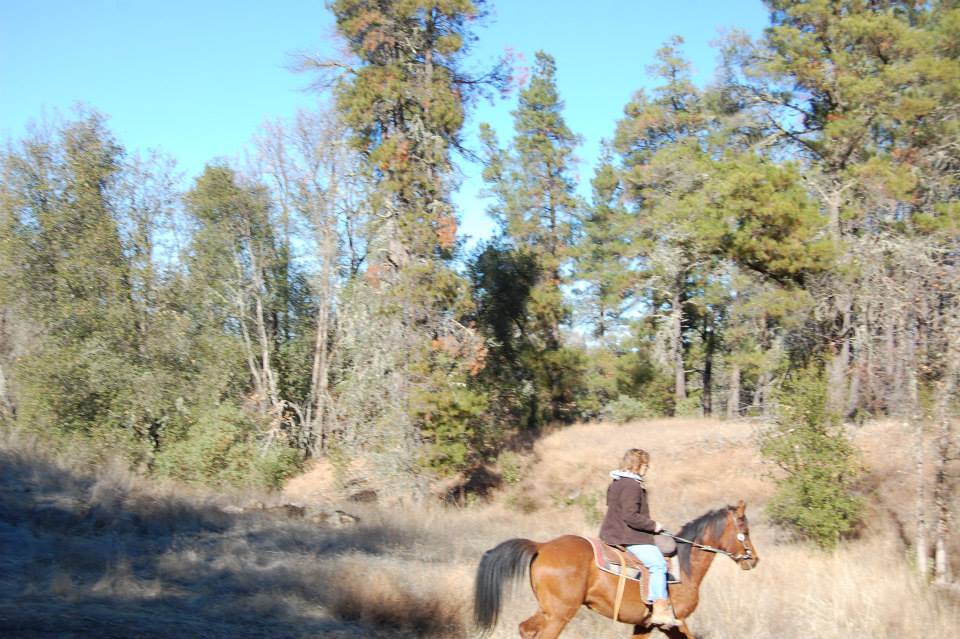 Horseback riding out in the open air. Thank you Loki - you were a joy to ride, even though you can't let go of your Endurance background!