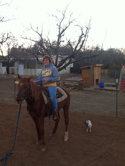 My beloved rescue horse Taos, who has been in my life since he was three months old. Now two and half years old, and an amazing member of the family!