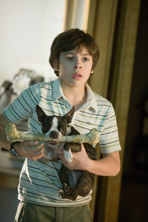 Still of Jake T. Austin in Hotel for Dogs (2009)