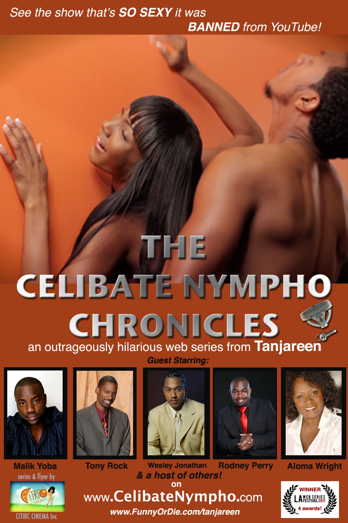The Celibate Nympho Chronicles: web series