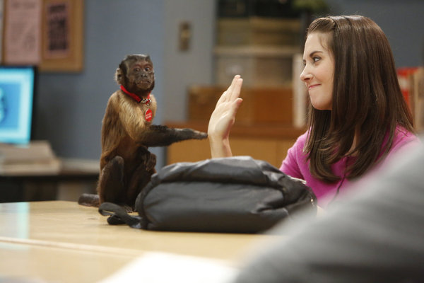Still of Alison Brie and Crystal the Monkey in Community (2009)