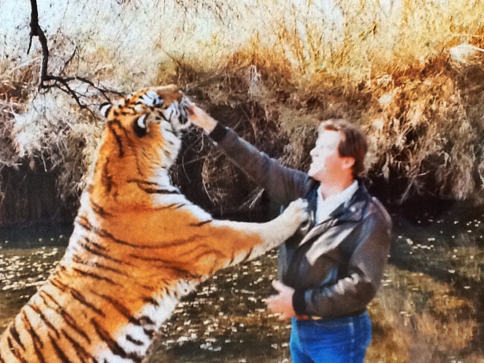 Randy hand feeding Noel Marshal and Tippy Hedrin's tiger.