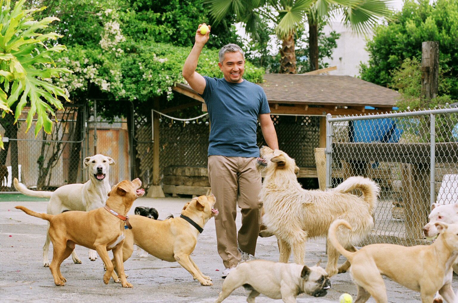 Still of Cesar Millan in Dog Whisperer with Cesar Millan (2004)