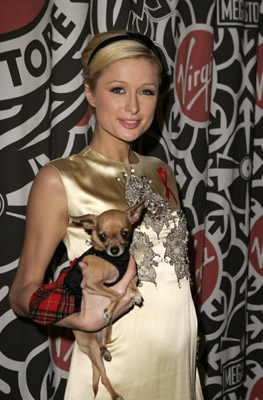 Paris Hilton and Tinkerbell the Dog