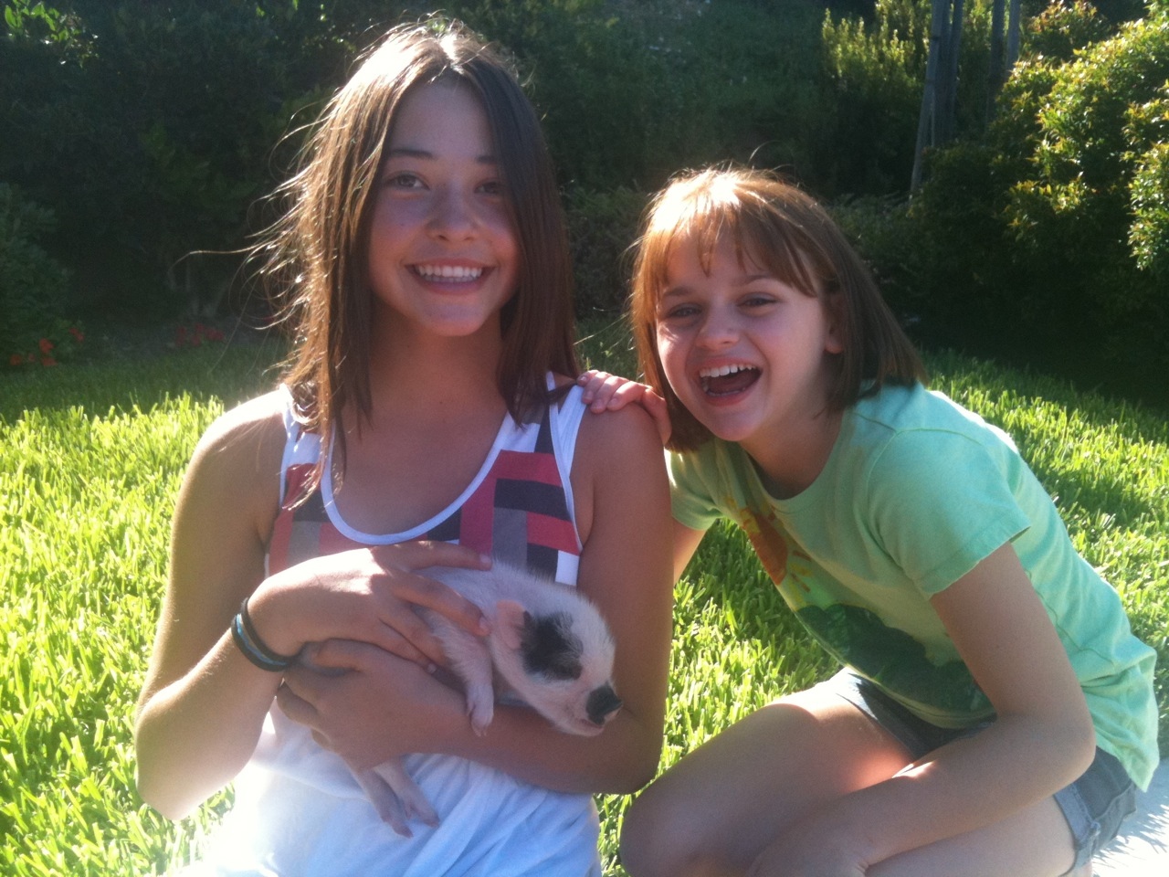 Chelsea Smith, Joey King and JJ the pig (a birthday present to Joey from Jay Leno).