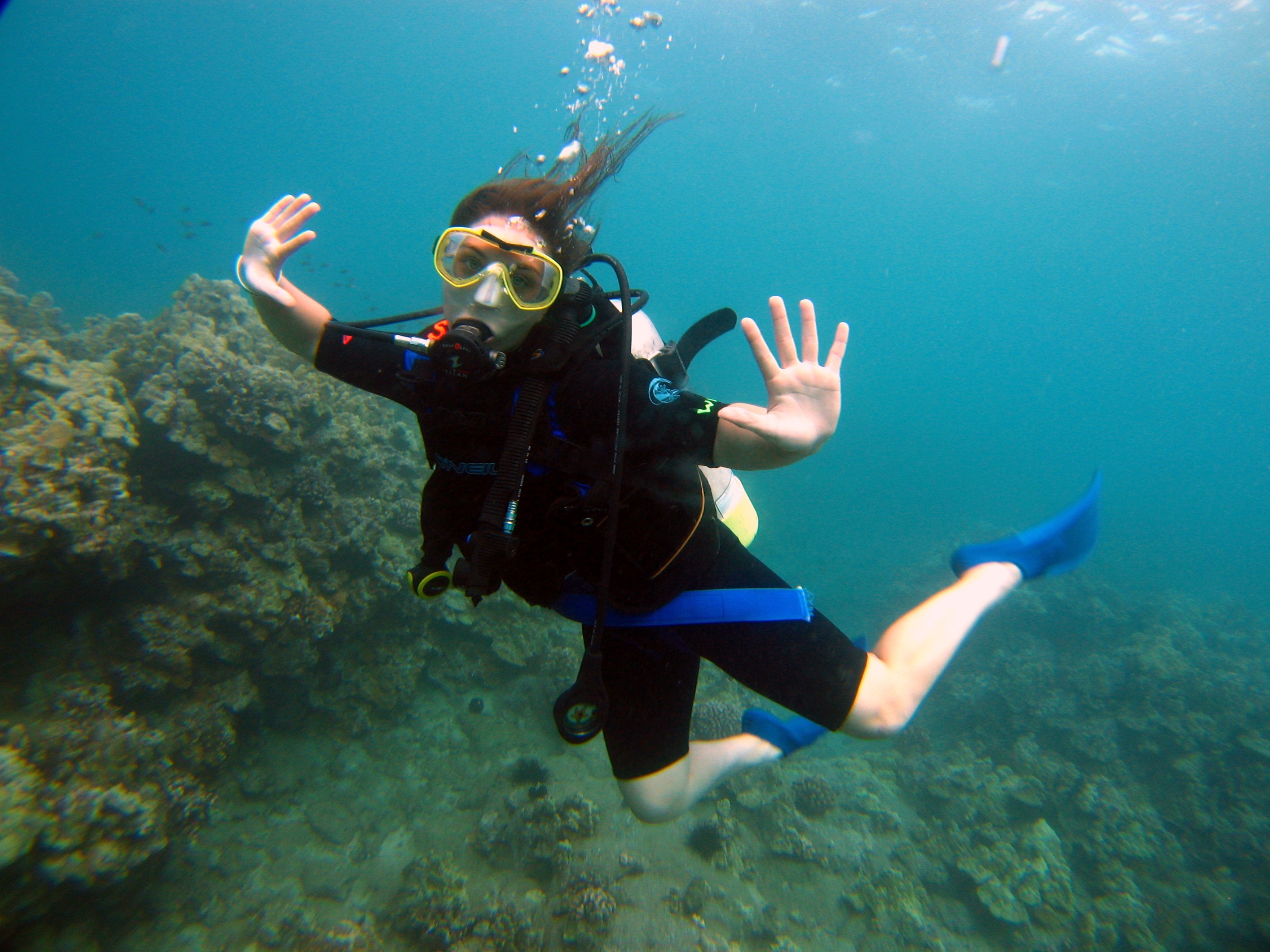 Maui Scuba Diving