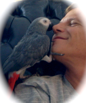 My African Grey Parrot, Gigi and I