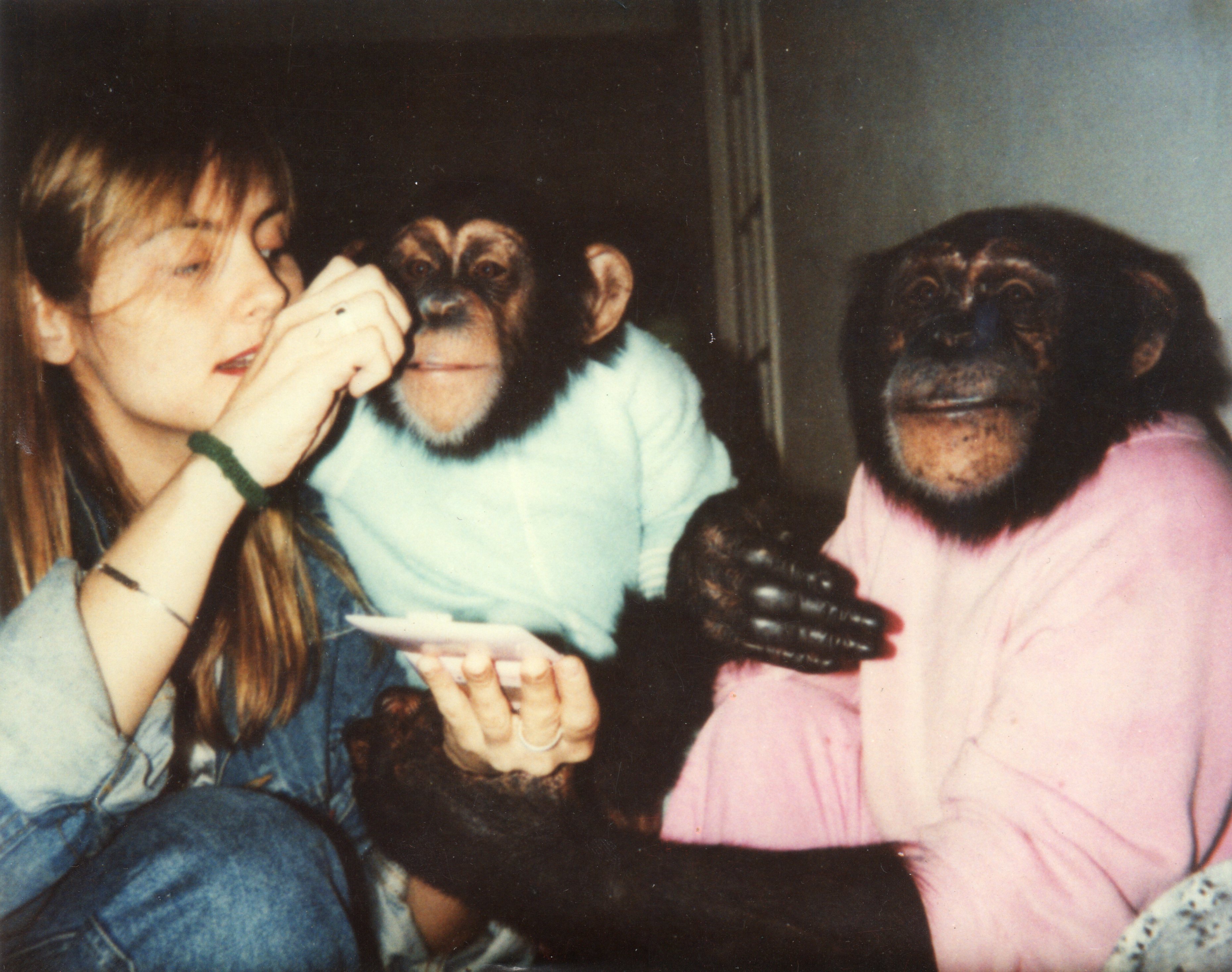 FLAVIA FONTES FILMING LIVING WITH CHIMPANZEES