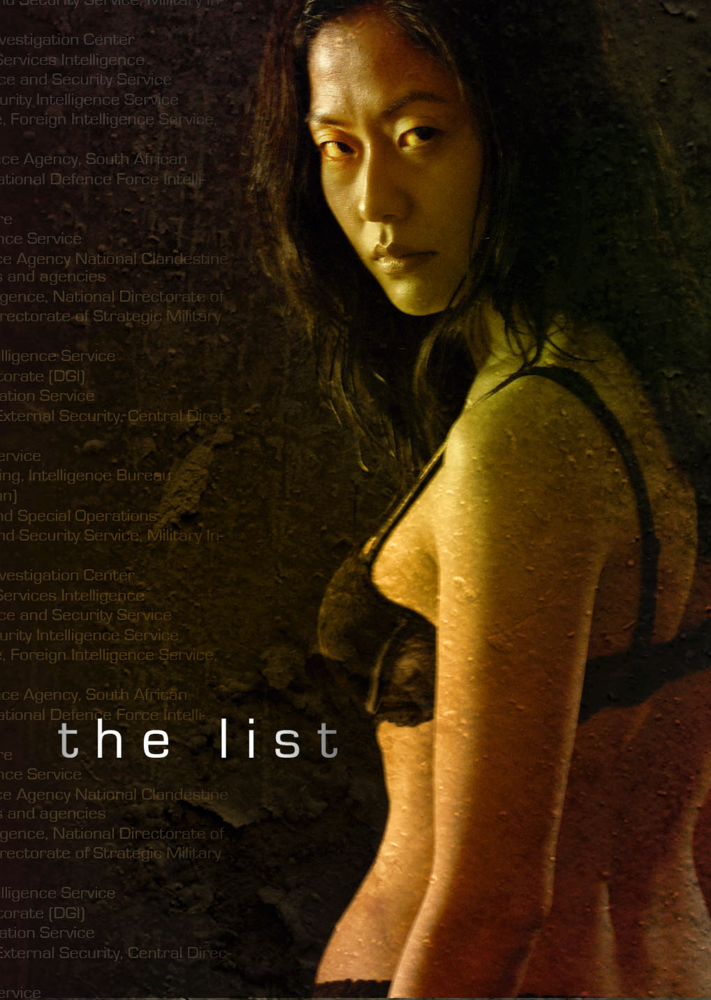 The List DVD Cover