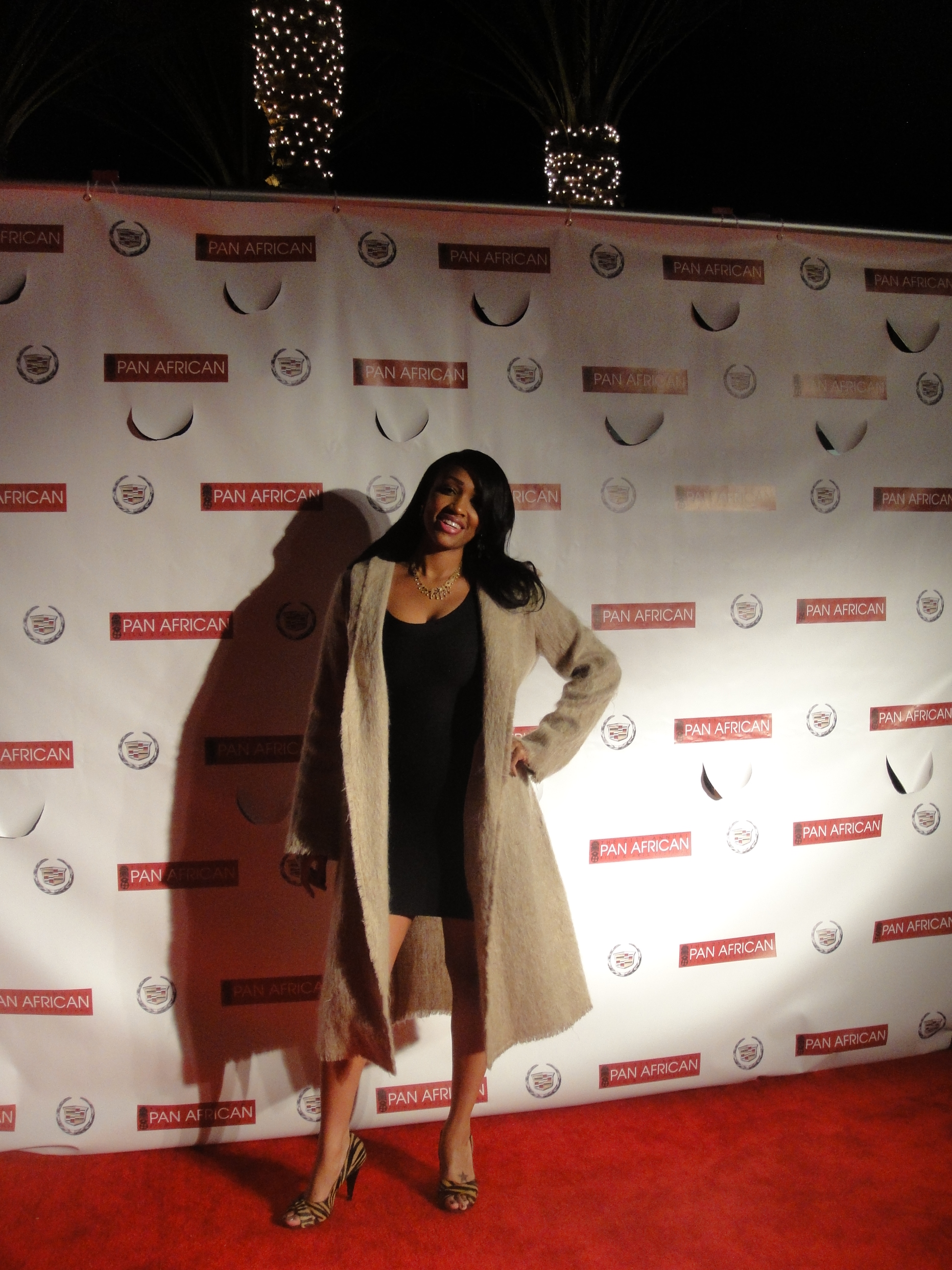 Red Carpet of the 2013 Pan African Film Festival