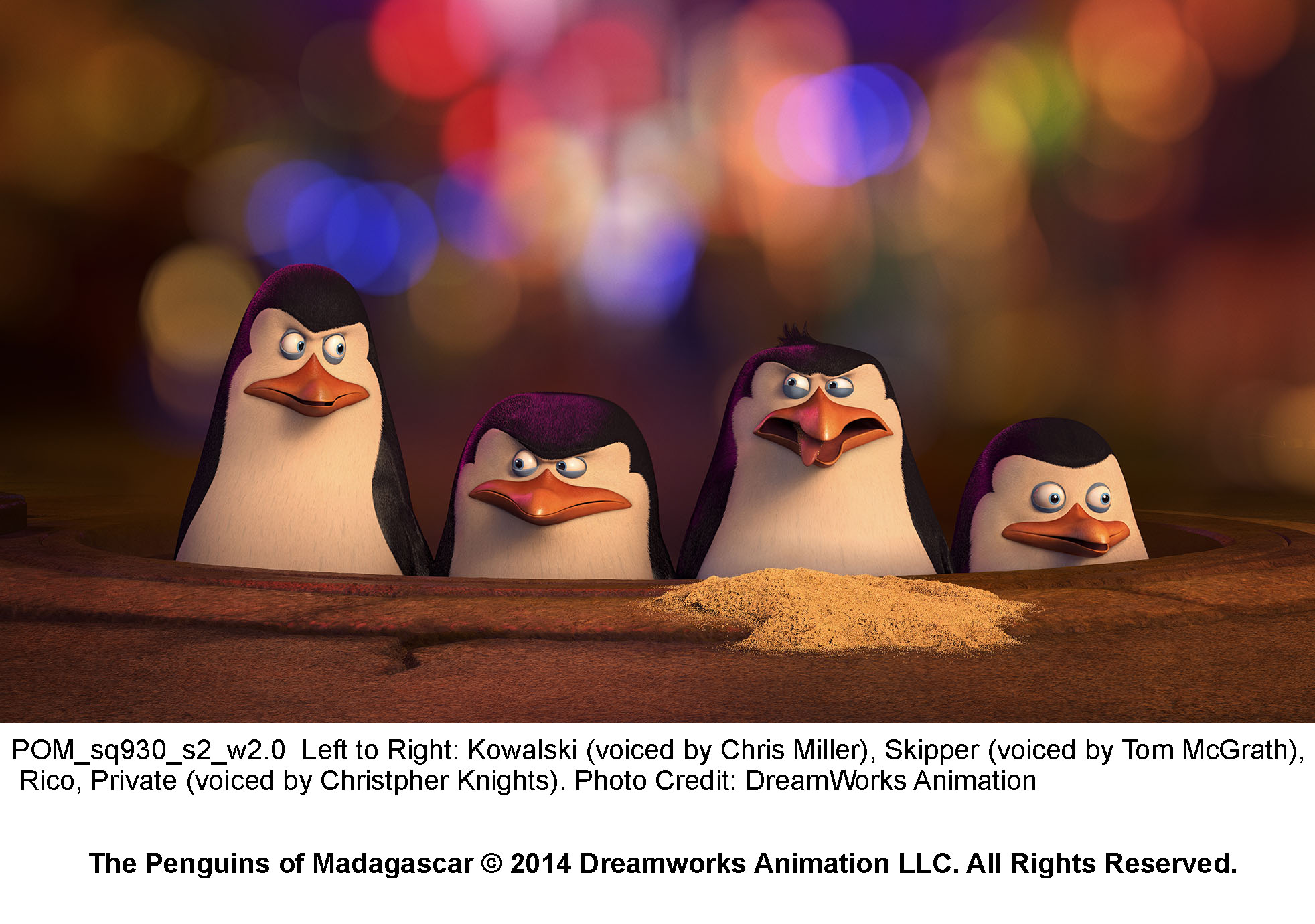 Still of Tom McGrath and Chris Miller in Penguins of Madagascar (2014)