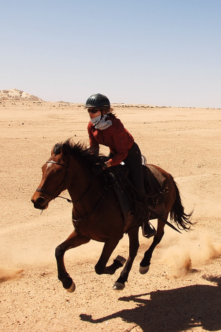 Galloping across the Namib Desert