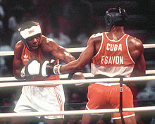 1987 Pan America Games