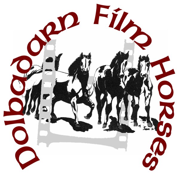 Dolbadarn Film horses company LOGO