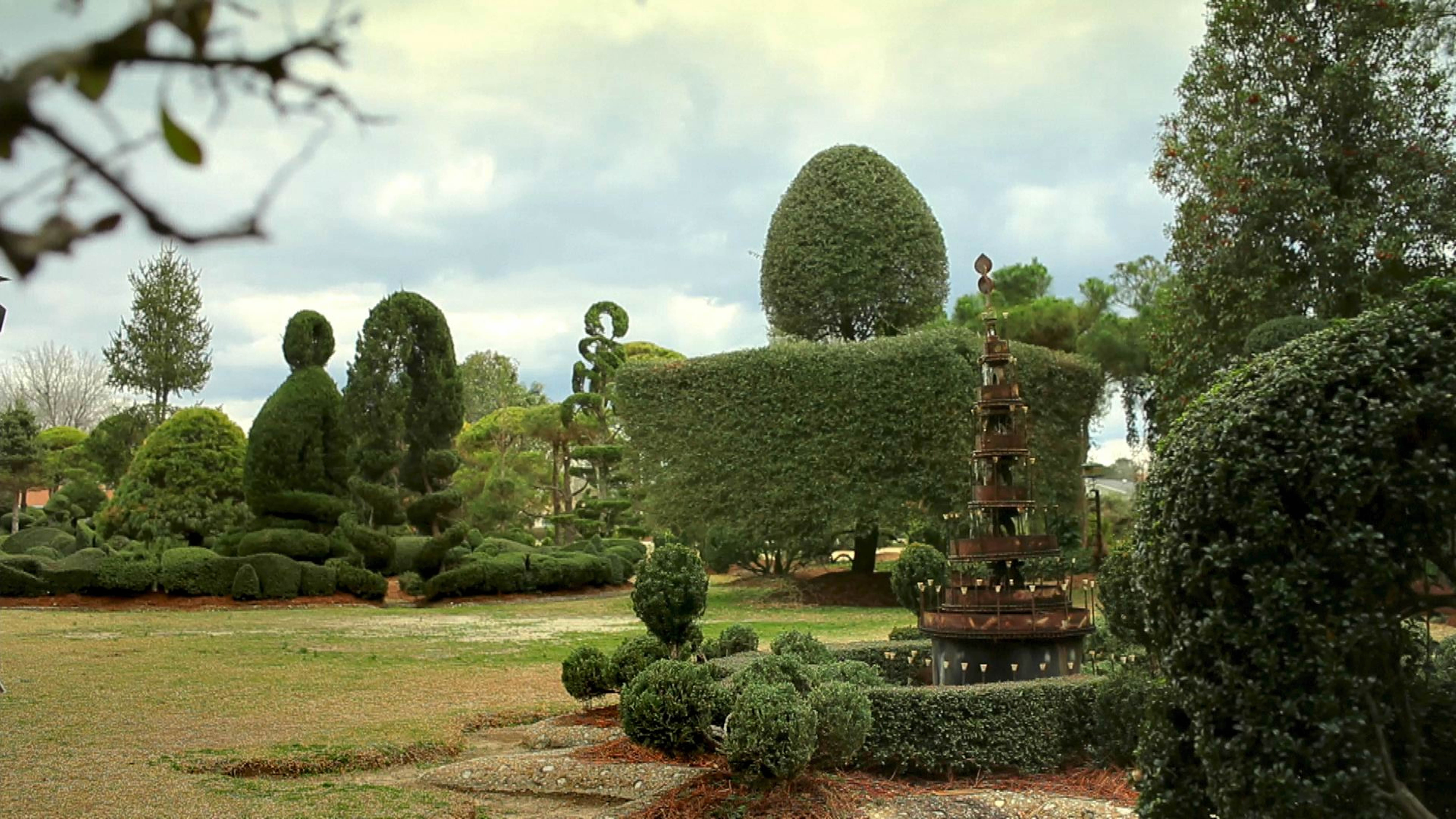 Planting Hope- Pearl Fryar Topiary Garden - Master Topiary Surrealist, Pearl Fryar campaigns to provide college funding for high school graduates that show promise despite having low test scores and GPAs.