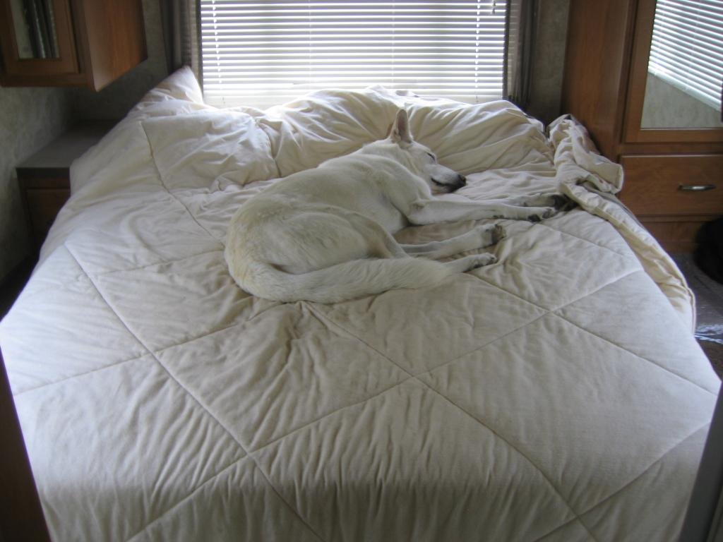 Woodson (of the famous Sam Woodson) on his private bed in the motor home, on location in Lockhart, Texas filming 