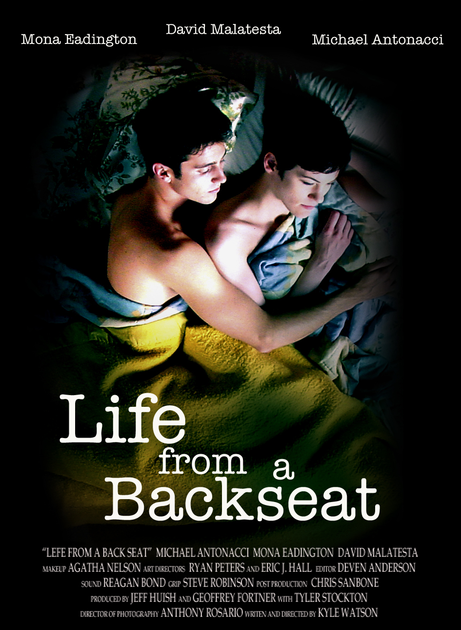 The movie poster from the short film, LIFE FROM A BACKSEAT.