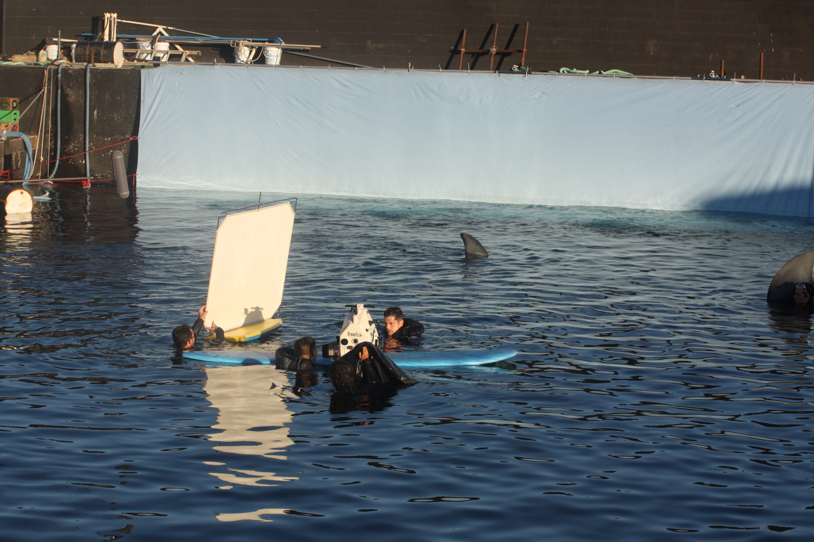 Actor Rich Handley is stranded in the middle of shark infested waters in the South Pacific for the film, Indianapolis.