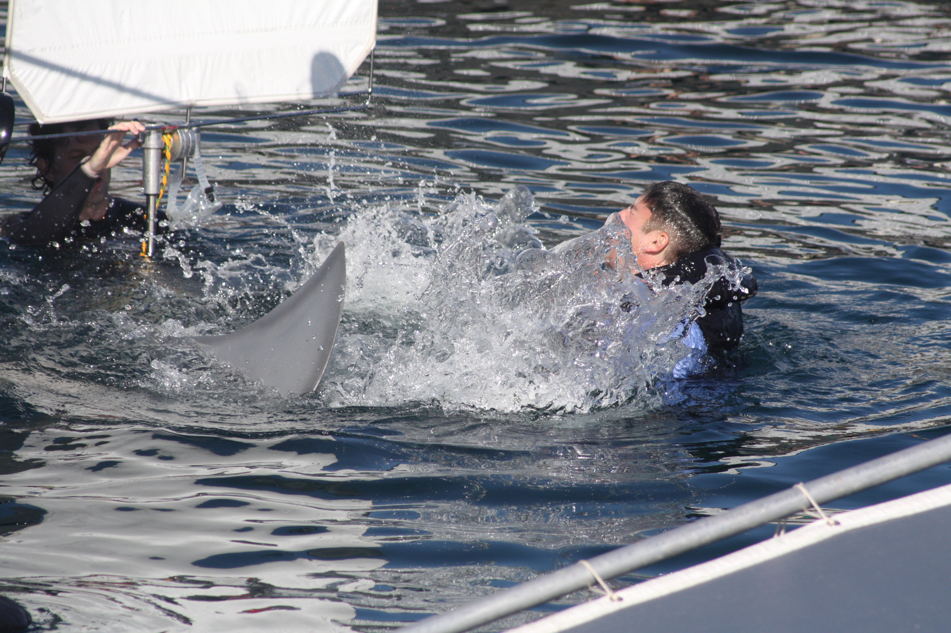 Actor Rich Handley is attacked by killer great white in the film, Indianapolis.