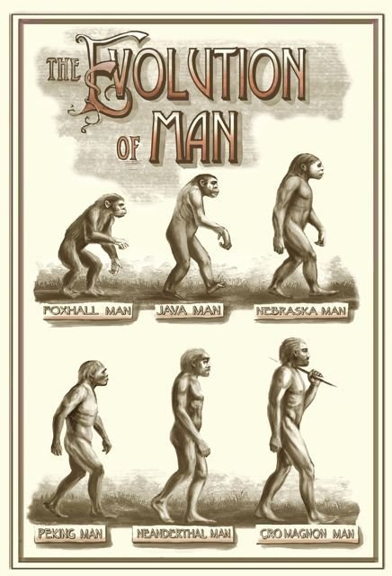 This and several other stunning posters depicting the case for evolution was illustrated by Helen Williams Ward.