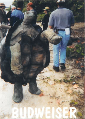 I am the Tortoise.