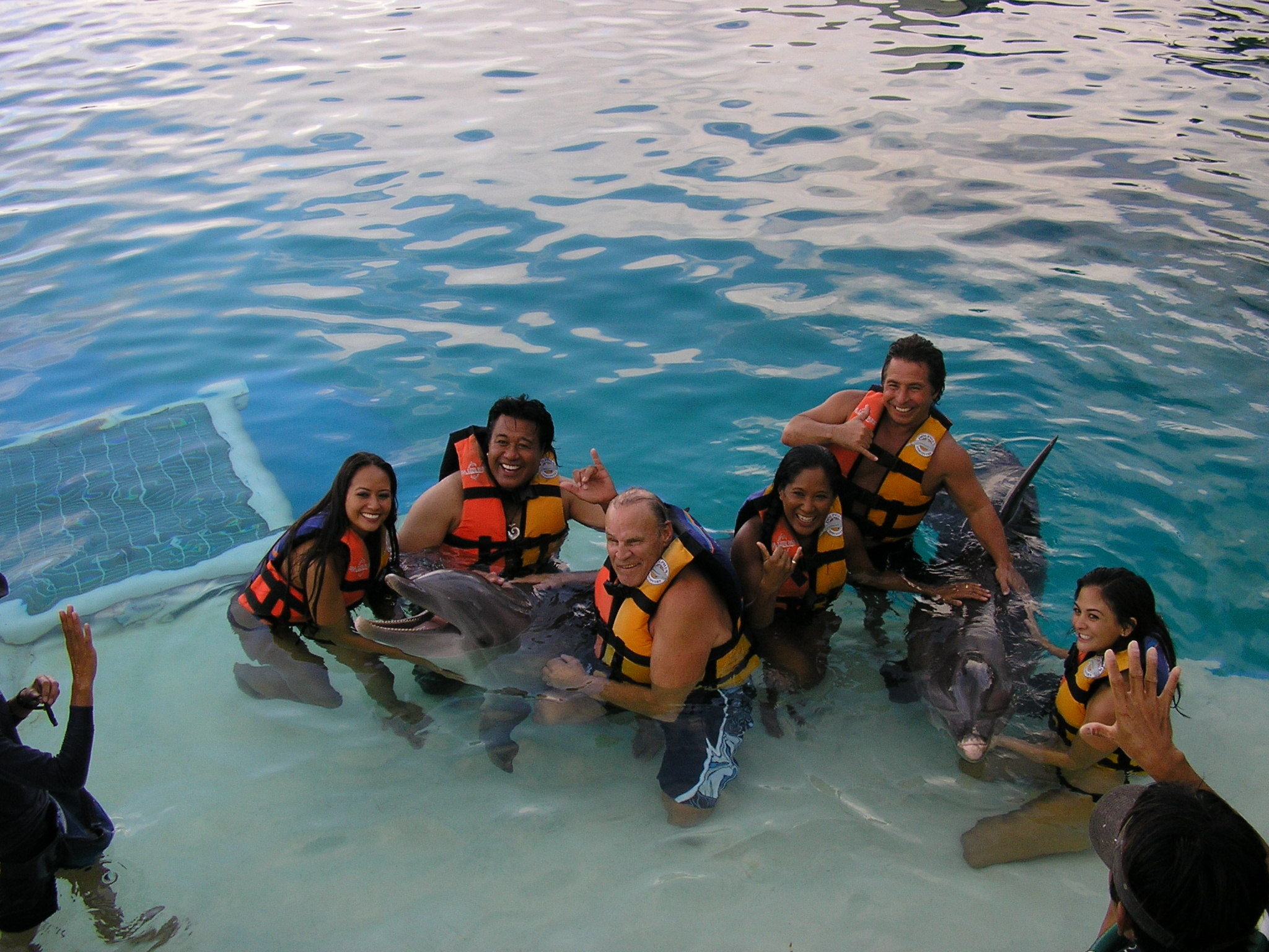 Michael Munoz with Wife, Marisa, Margot Ochiro, Don Stroud, Branscombe Richmond and Kawena -Swimming with Dolphins (Good Morning Hawai'i)
