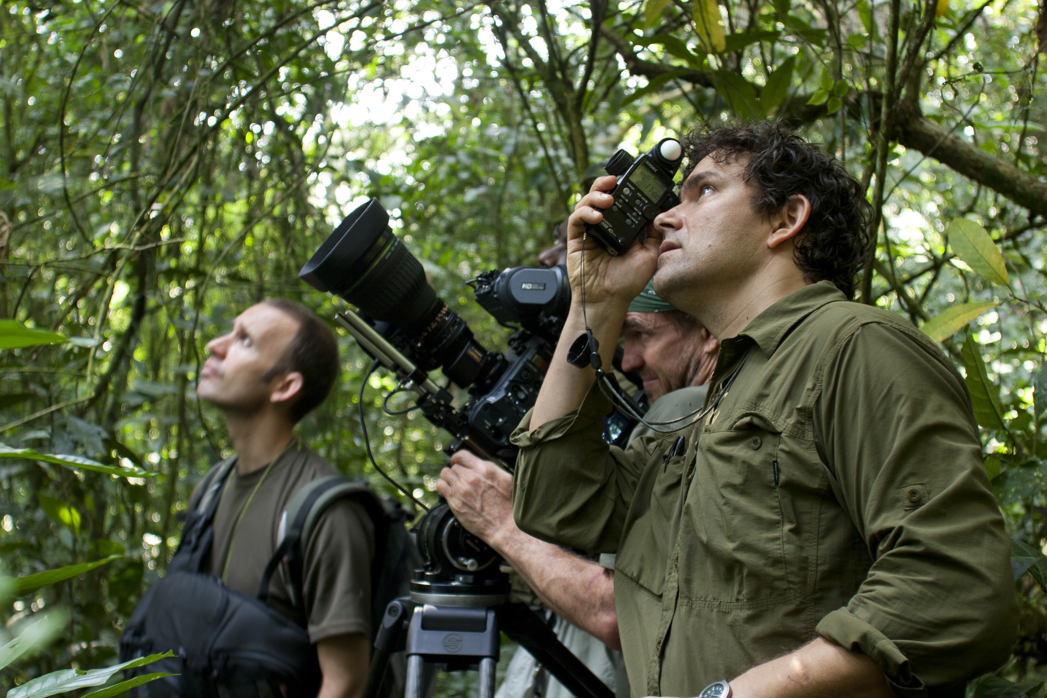 Still of Bill Wallauer and Mark Linfield in Chimpanzee (2012)
