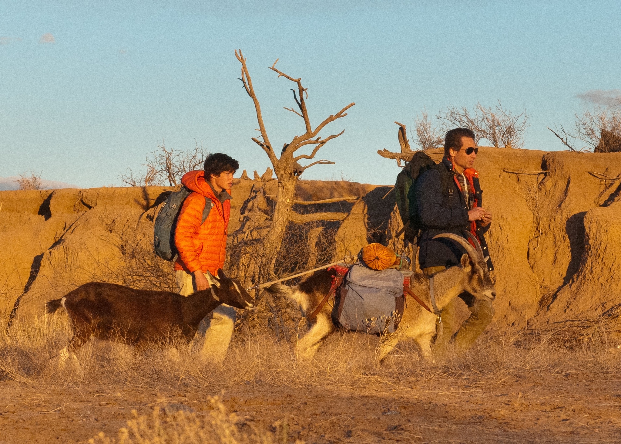 Still of David Duchovny and Graham Phillips in Goats (2012)