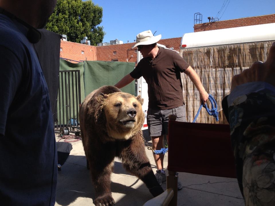 Sara Geralds, Script Supervisor worked with this bear, Bam Bam, on the set of PET Squad