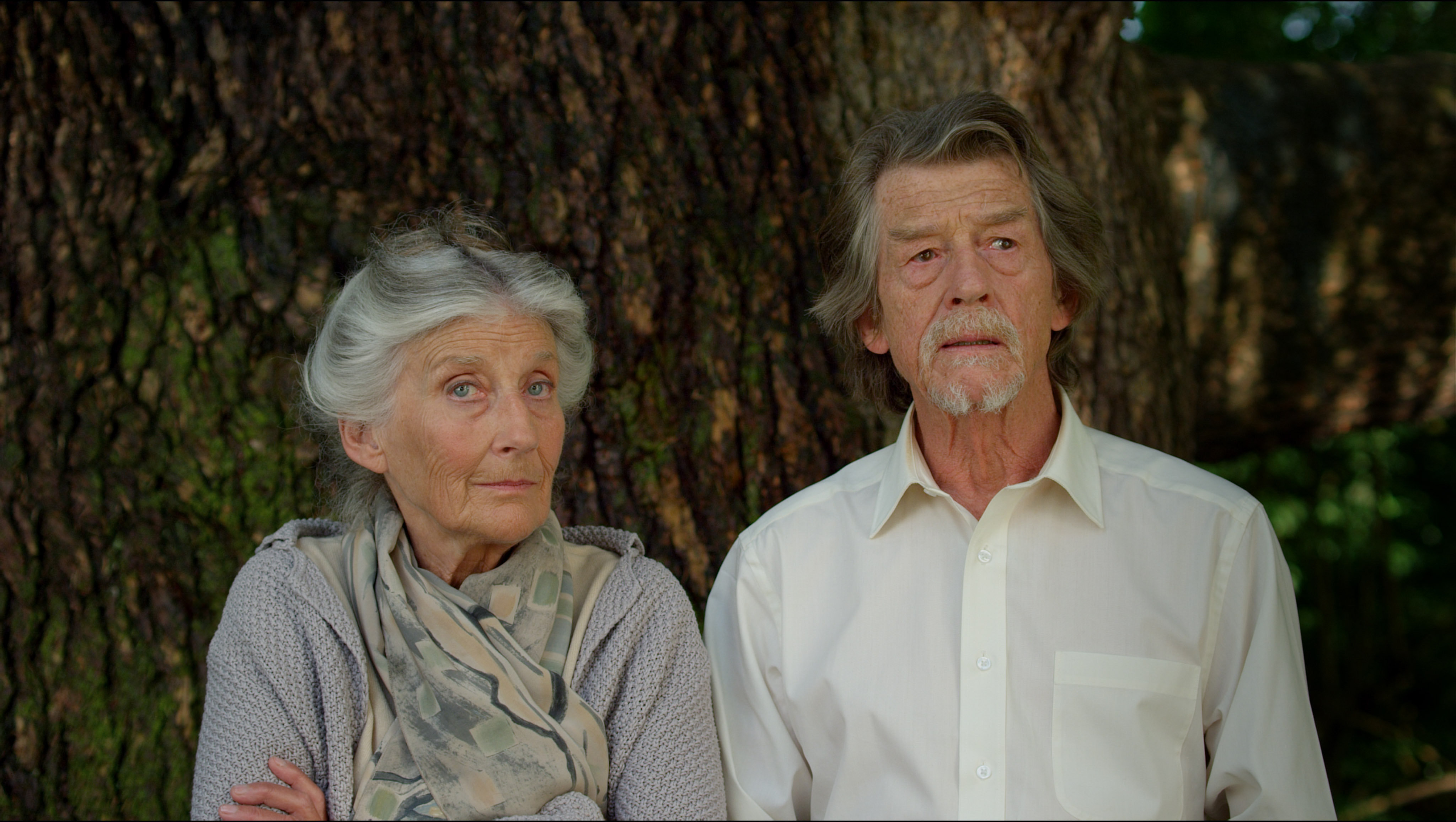 Still of John Hurt and Phyllida Law in Love At First Sight.