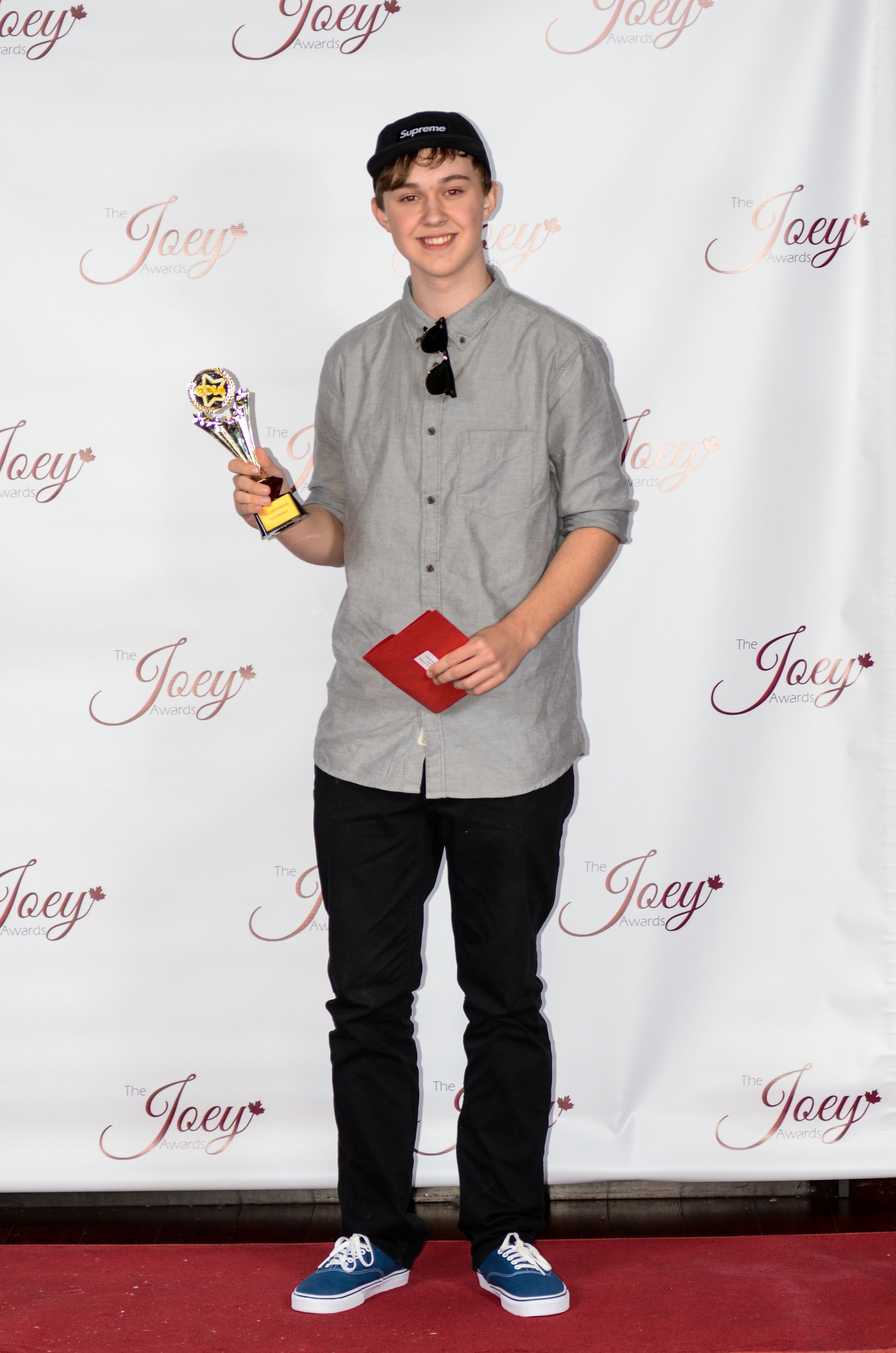Joey Awards 2014, Vancouver Winner Young Actor in a Guest Starring role for 'When Calls the Heart'