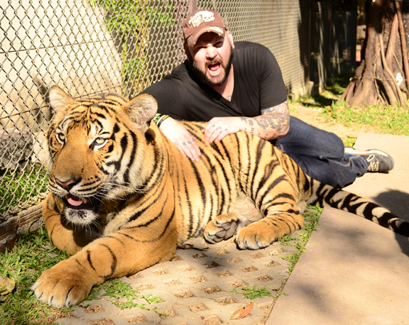 Matt Busch playing with a tiger in Chiang Mai, Thailand.