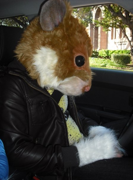 Original KIA Hamster