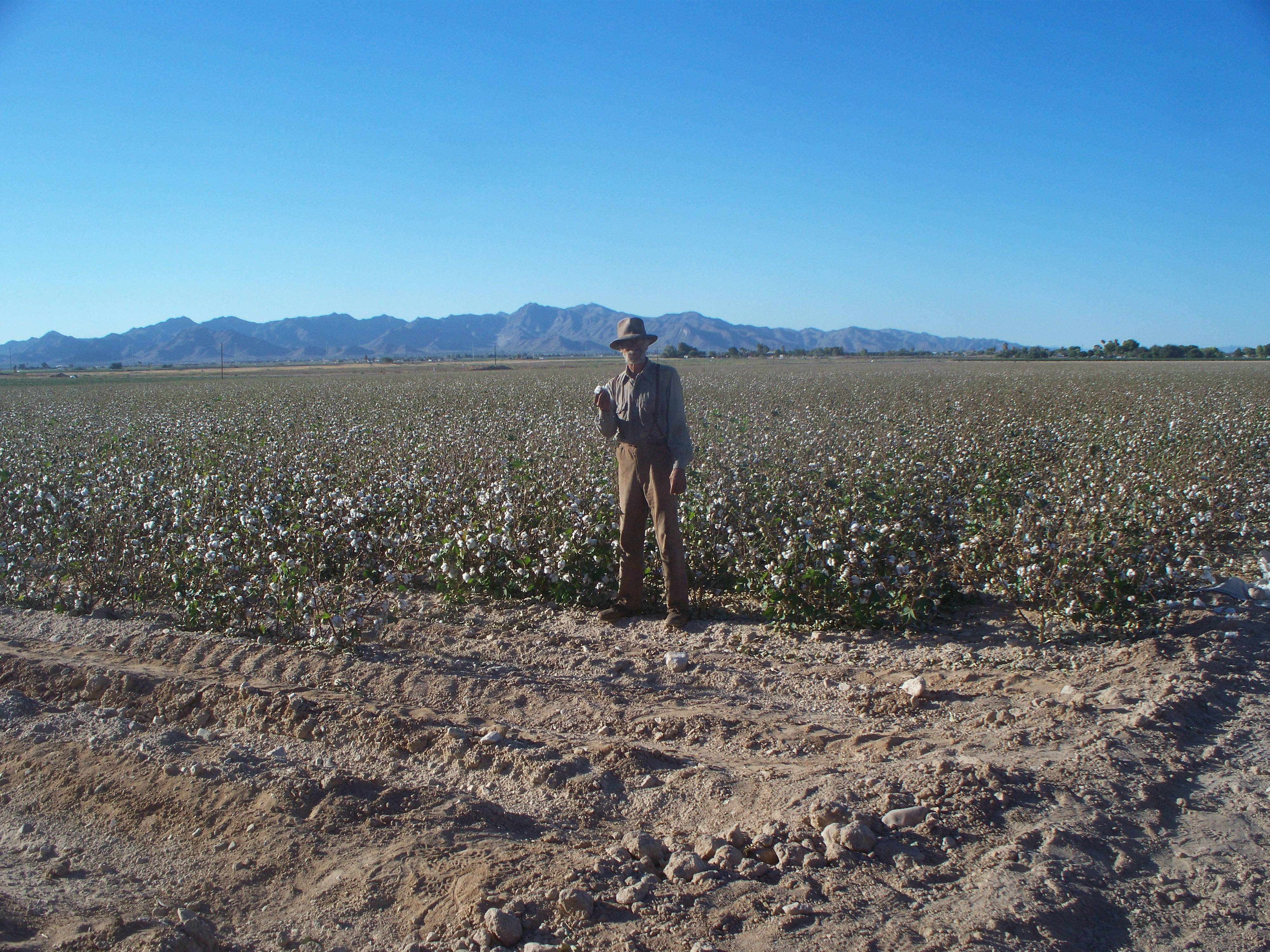 ALice Braga and I spent 3 hours learning how to pick Cotton and this is the closest I got! It paid well though.