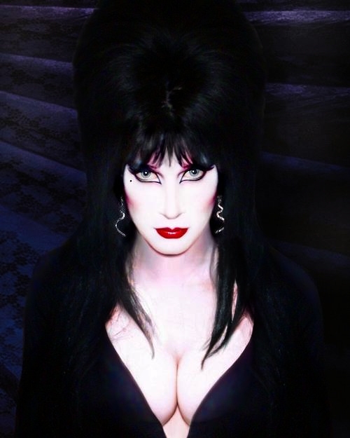 As Elvira Mistress of the Dark.