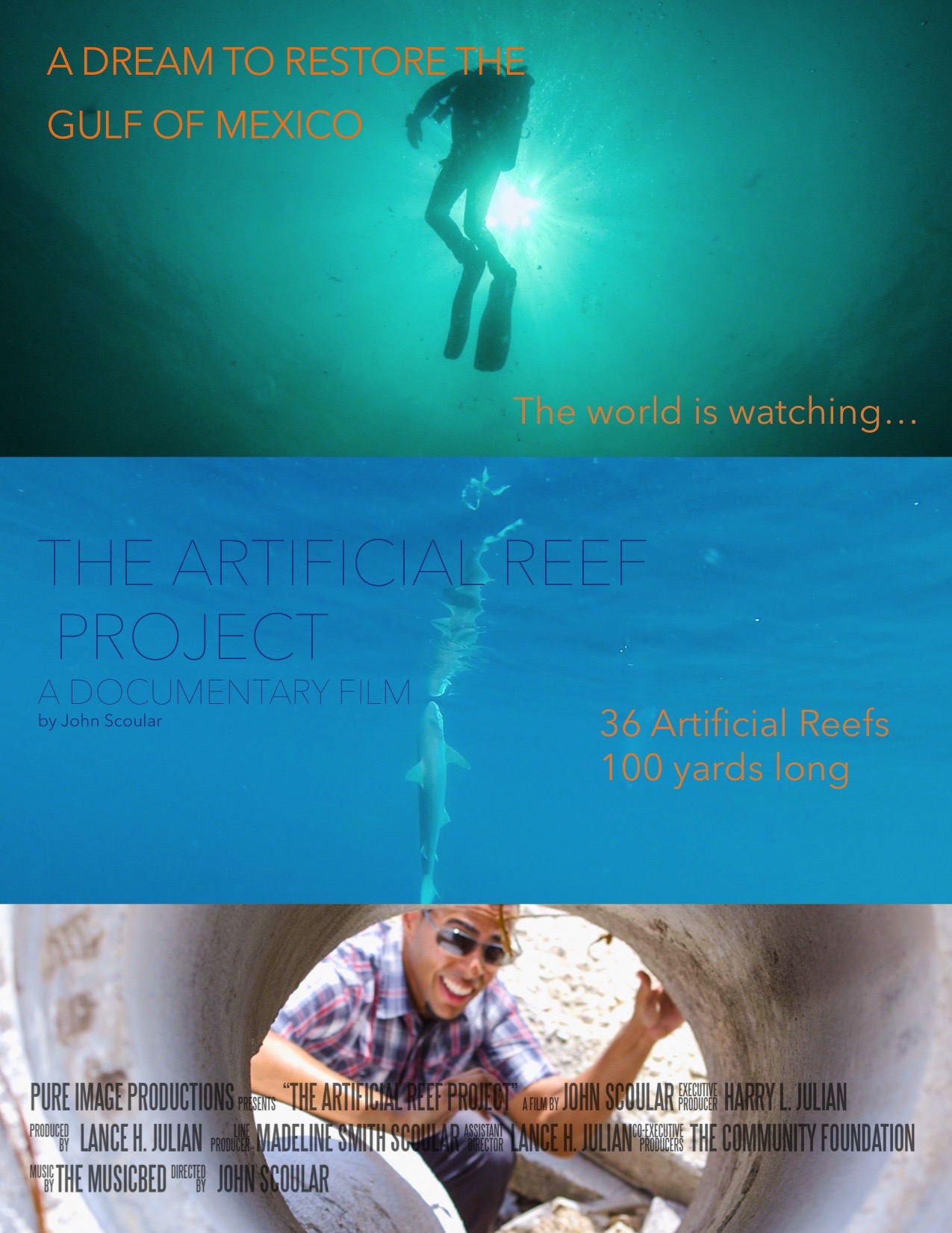 Paradise Reef Project