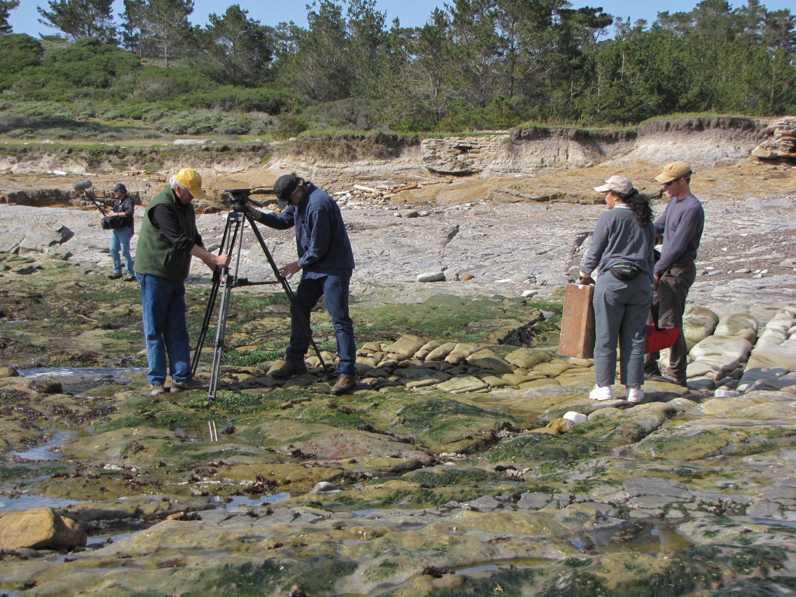 Point Lobos State Park beach - California Forever documentary