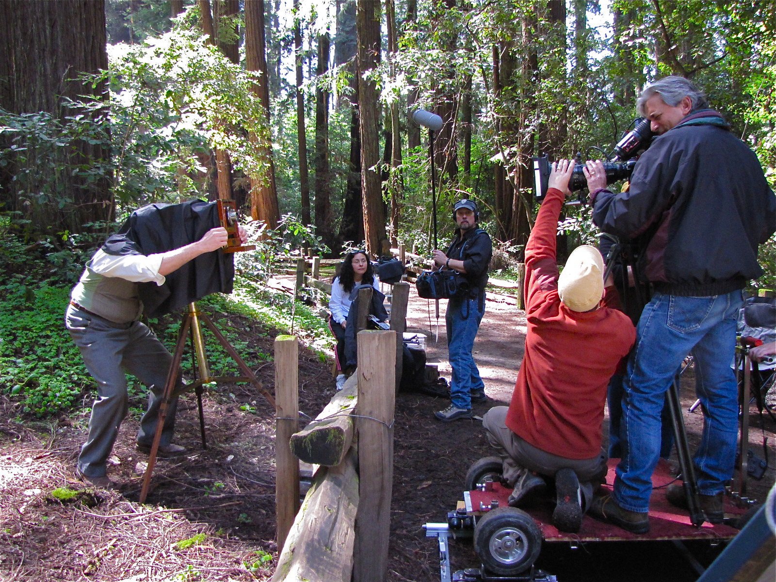 California Forever David Vassar documentary of CA State Parks - Big Basin State Park